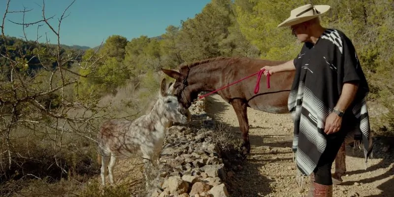Hombre con poncho paseando burros por sendero rural entre bosques